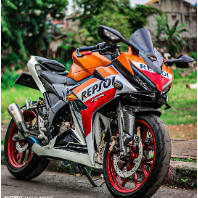 一米五的小暴龍