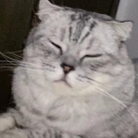 沉夢(mèng)昂志、_qq79765