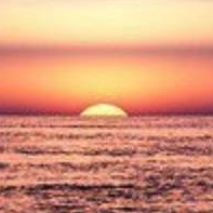 只要番茄不要蛋