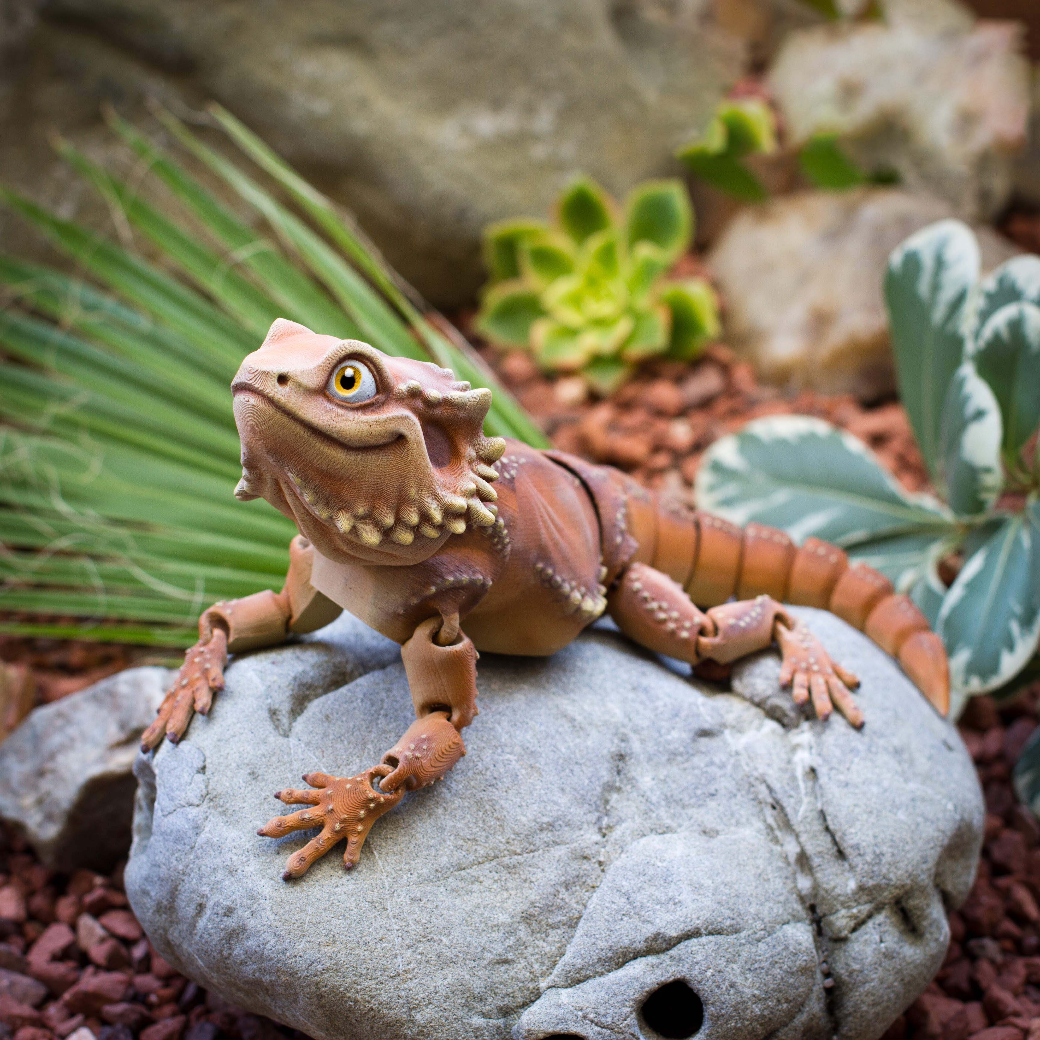 鬃獅蜥 可動(dòng)3D打印模型