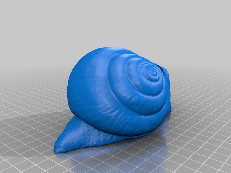 蝸牛3D打印模型