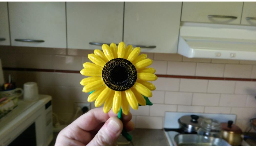 太陽花3D打印模型