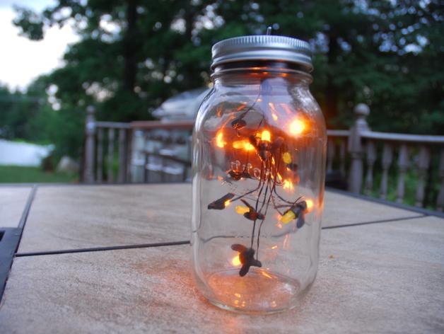 螢火蟲(chóng)的罐子3D打印模型