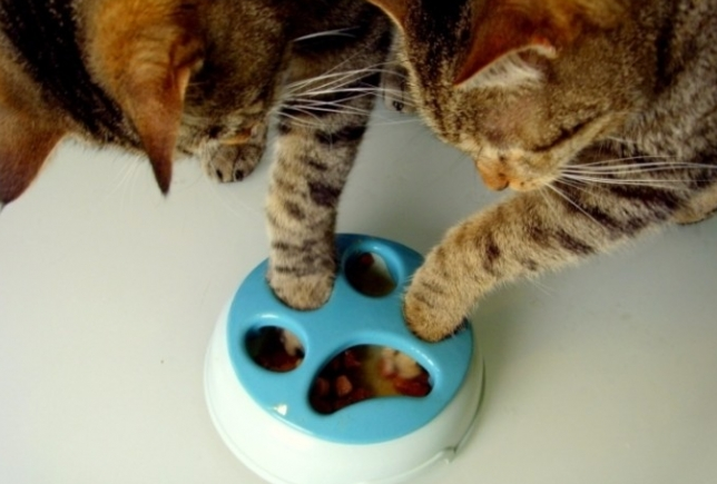 3D打印貓糧盆3D打印模型