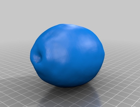 檸檬3D打印模型