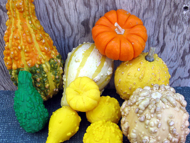 五谷雜糧3D打印模型