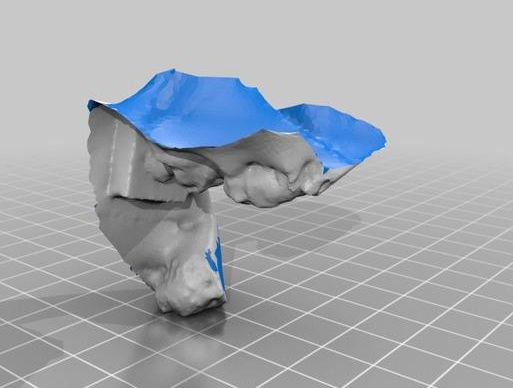 半身像3D打印模型