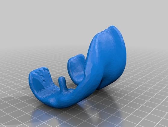 膝關(guān)節(jié)模型3D打印模型