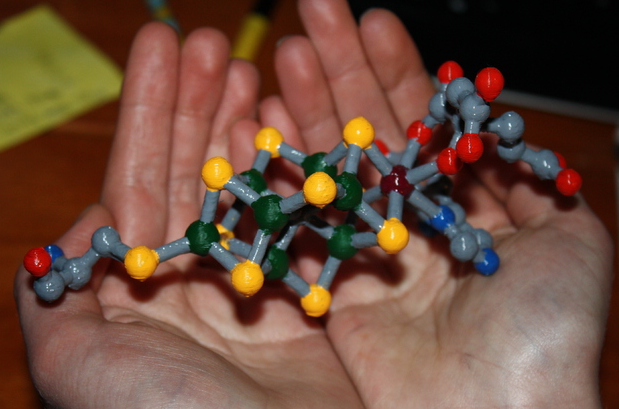 生物因子結(jié)構(gòu)3D打印模型