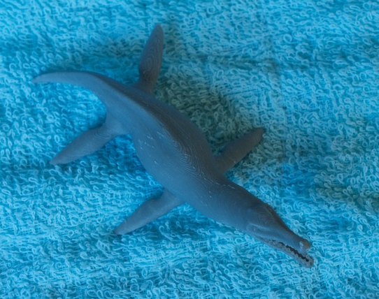 鱷魚組圖設(shè)計(jì) 3D打印模型