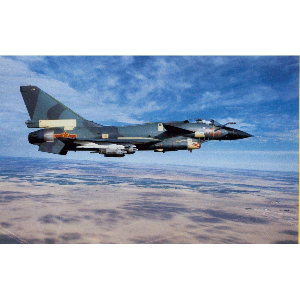 殲10戰(zhàn)斗機(jī)3D打印模型