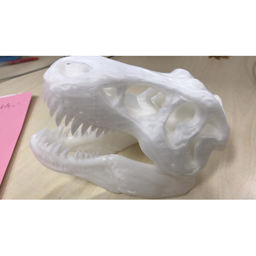 霸王龍頭骨3D打印模型
