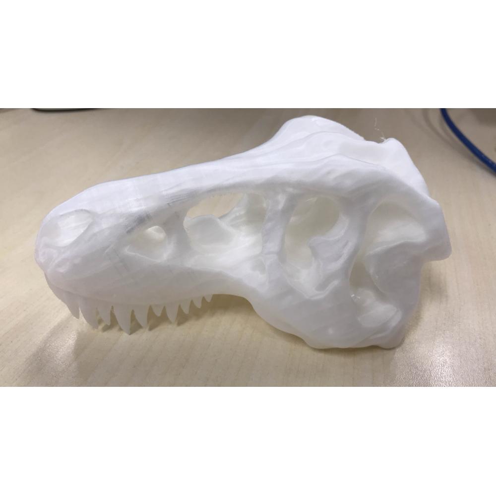 霸王龍頭骨3D打印模型