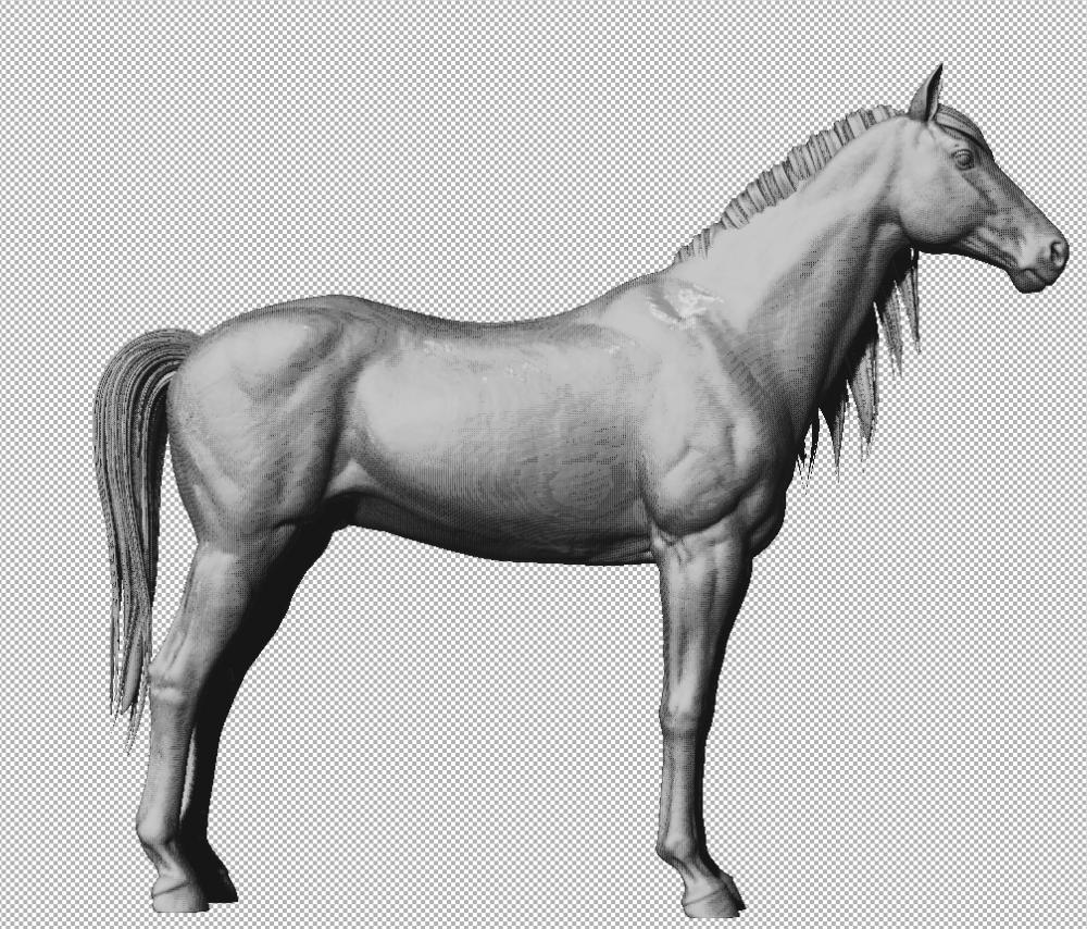 駿馬 長鬃毛駿馬 純血寶馬3D打印模型