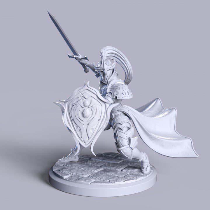 圣騎士3D打印模型