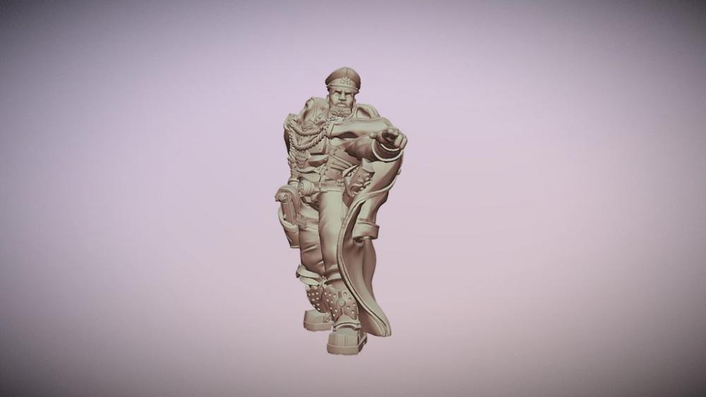 戰(zhàn)地指揮官3D打印模型
