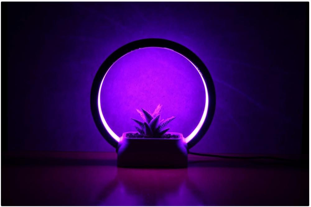 環(huán)形燈-雕像花盆支架3D打印模型