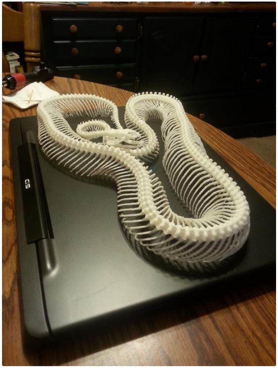 騰蛇隕落3D打印模型