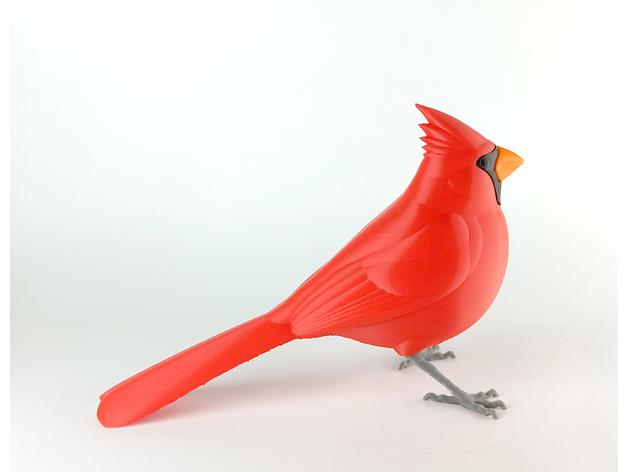 紅衣鳳頭鳥3D打印模型