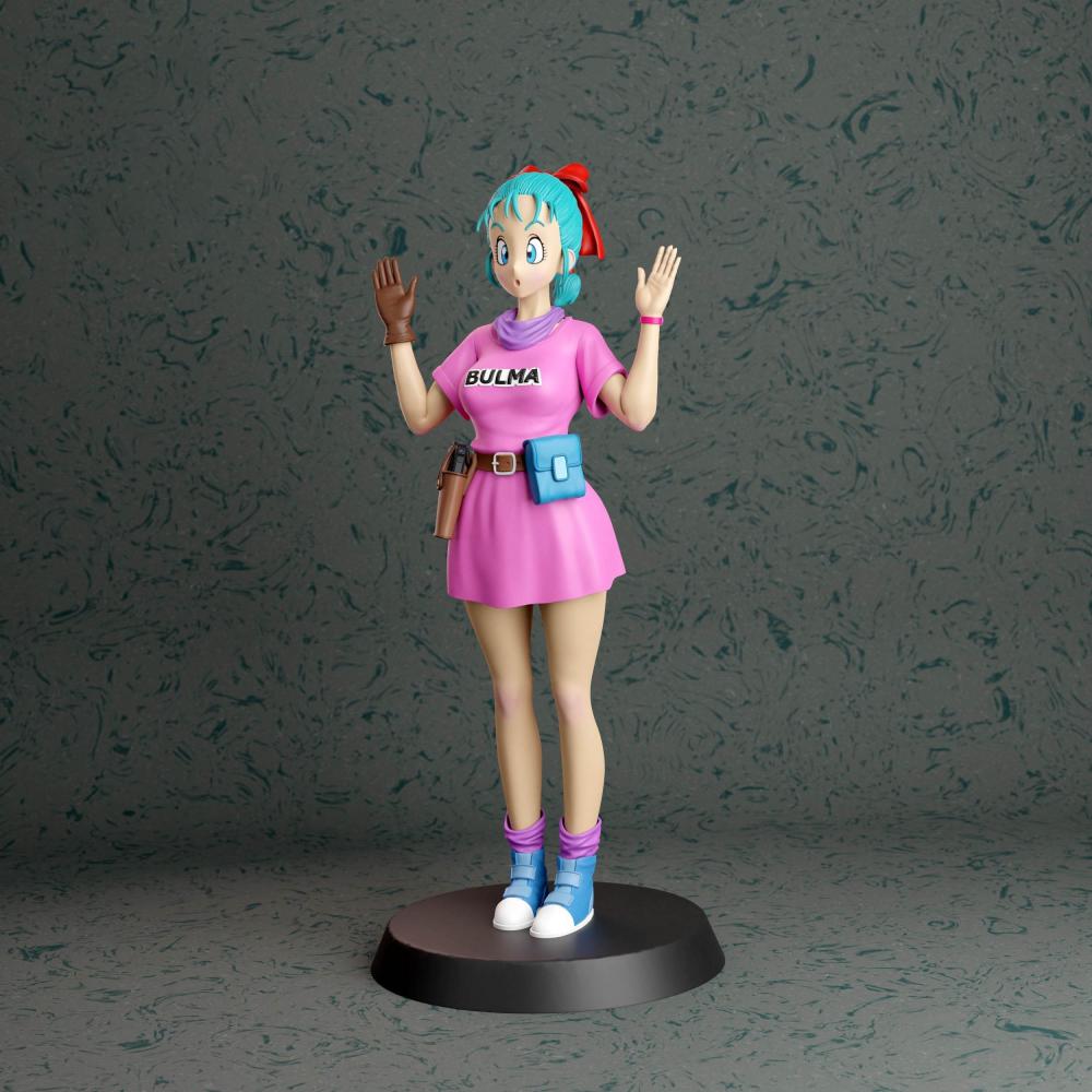 布爾瑪 帶內(nèi)衣3D打印模型