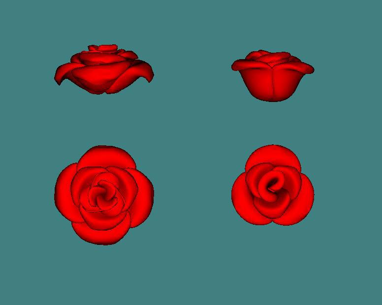 玫瑰花3D打印模型