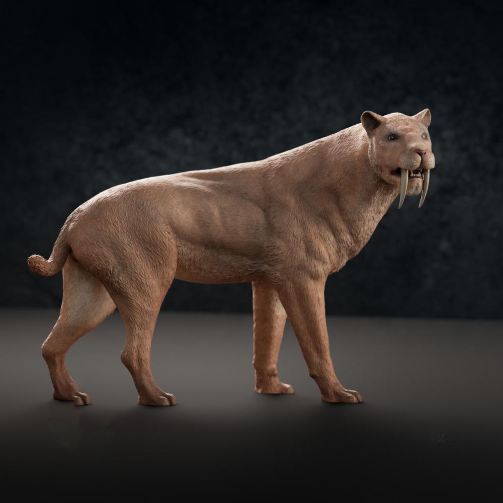 劍齒虎3D打印模型