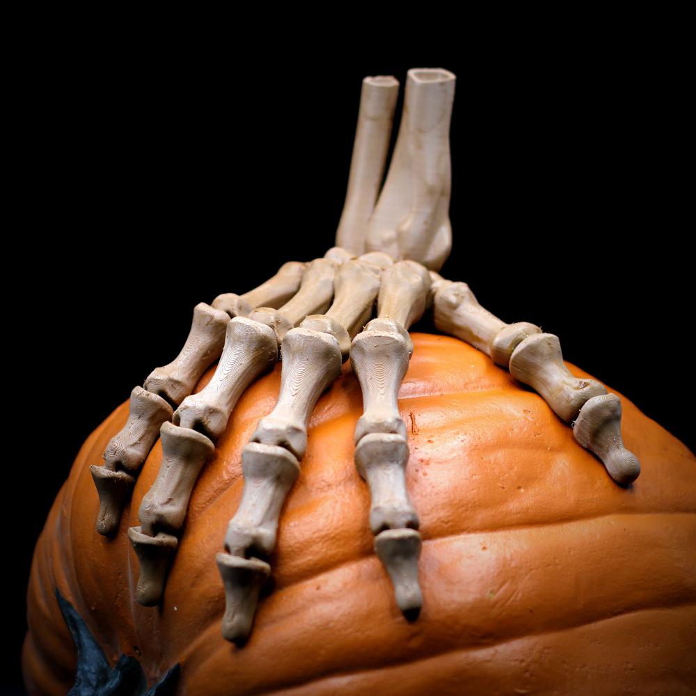 可活動的骷髏手掌3D打印模型