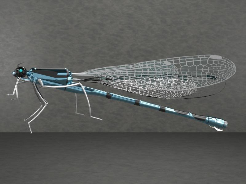 蒸汽朋克 機(jī)械動(dòng)物 合集3D打印模型